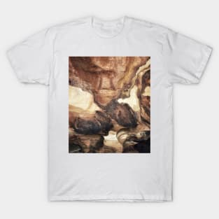 Terrigal Sandstone T-Shirt